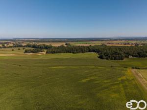Prodej chaty, Ráby, 30 m2