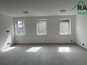 Pronájem bytu 1+kk, Planá, 55 m2