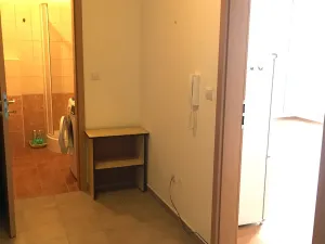 Pronájem bytu 1+kk, Kutná Hora, Tyršova, 42 m2
