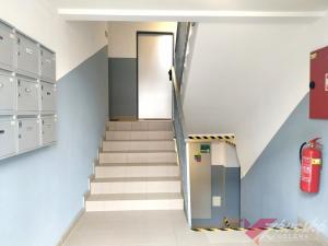Pronájem bytu 2+1, Milovice - Mladá, Spojovací, 46 m2