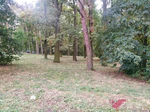 Pronájem bytu 2+1, Milovice - Mladá, Spojovací, 46 m2
