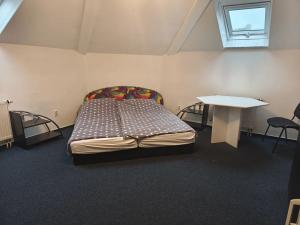 Pronájem bytu 1+kk, Plzeň, Skvrňanská, 20 m2