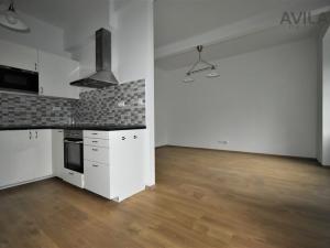Pronájem bytu 1+kk, Praha - Žižkov, Ambrožova, 55 m2