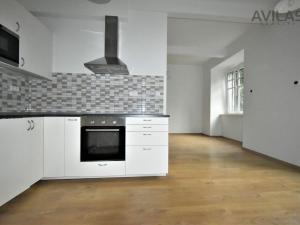 Pronájem bytu 1+kk, Praha - Žižkov, Ambrožova, 55 m2