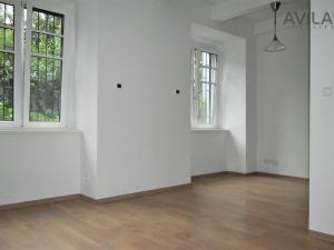 Pronájem bytu 1+kk, Praha - Žižkov, Ambrožova, 55 m2