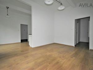 Pronájem bytu 1+kk, Praha - Žižkov, Ambrožova, 55 m2
