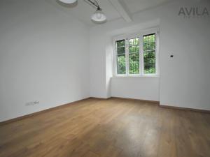Pronájem bytu 1+kk, Praha - Žižkov, Ambrožova, 55 m2