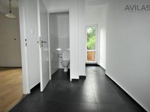 Pronájem bytu 1+kk, Praha - Žižkov, Ambrožova, 55 m2