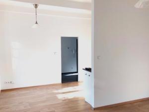 Pronájem bytu 1+kk, Praha - Žižkov, Ambrožova, 55 m2