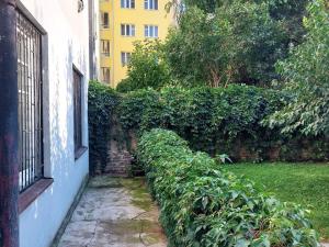 Pronájem bytu 1+kk, Praha - Žižkov, Ambrožova, 55 m2