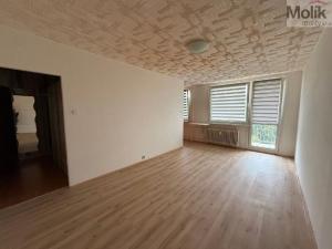 Pronájem bytu 1+1, Most, Brněnská, 34 m2
