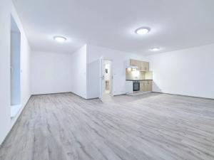 Pronájem bytu 1+kk, Plzeň, Rejskova, 50 m2