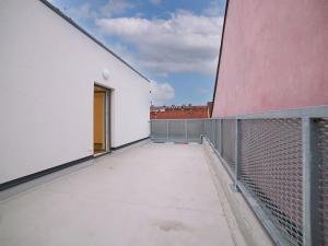 Pronájem bytu 1+kk, Plzeň, Rejskova, 50 m2