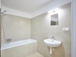 Pronájem bytu 1+kk, Plzeň, Železniční, 50 m2