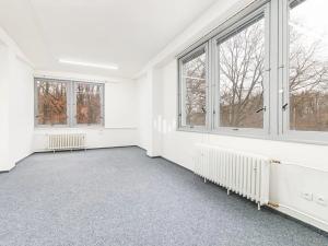 Pronájem kanceláře, Praha - Braník, Nad lesním divadlem, 127 m2