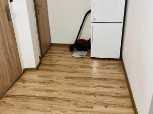 Pronájem bytu 2+1, Stráž pod Ralskem, Máchova, 42 m2