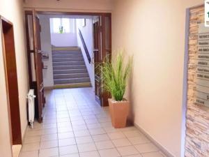 Pronájem kanceláře, Cheb, Svobody, 16 m2