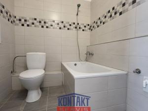 Pronájem bytu 1+kk, Kaplice, Linecká, 20 m2