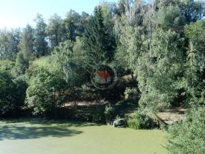 Pronájem bytu 2+kk, Třebíč - Týn, Cyrilova, 50 m2