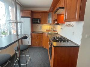 Prodej bytu 3+1, Chomutov, Borová, 60 m2