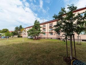 Prodej bytu 2+1, Pardubice, Lexova, 65 m2