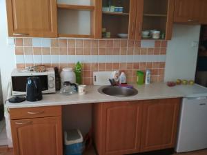 Pronájem bytu 1+kk, Plzeň, Jablonského, 27 m2