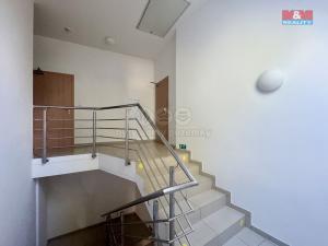 Pronájem bytu 2+kk, Těšany, 48 m2
