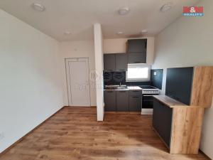 Pronájem bytu 2+kk, Rostoklaty - Nová Ves II, 47 m2