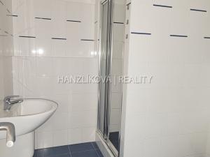 Pronájem bytu 1+kk, České Budějovice, Pekárenská, 42 m2