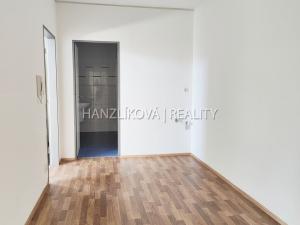 Pronájem bytu 1+kk, České Budějovice, Pekárenská, 42 m2
