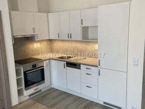 Pronájem bytu 2+kk, České Budějovice - České Budějovice 2, Na Zlaté stoce, 53 m2