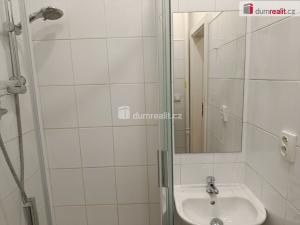 Pronájem bytu 1+kk, Praha - Vršovice, Na spojce, 20 m2