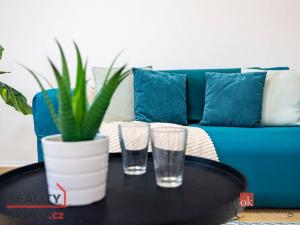 Prodej bytu 2+kk, Praha - Žižkov, Loudova, 54 m2