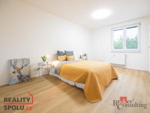 Prodej bytu 2+kk, Praha - Žižkov, Loudova, 54 m2