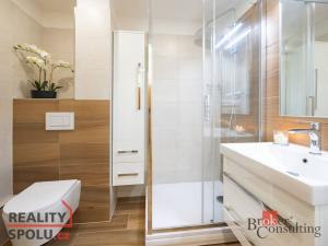 Prodej bytu 2+kk, Praha - Žižkov, Loudova, 54 m2