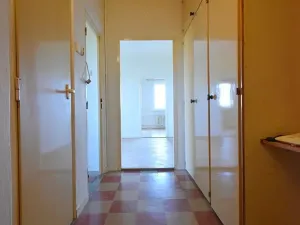 Prodej bytu 3+1, Přerov, Petřivalského, 60 m2