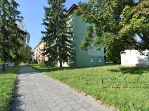 Prodej bytu 3+1, Přerov, Petřivalského, 60 m2