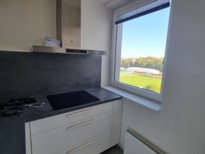 Pronájem bytu 3+kk, Pardubice - Zelené Předměstí, Pod Vinicí, 81 m2