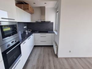 Pronájem bytu 3+kk, Pardubice - Zelené Předměstí, Pod Vinicí, 81 m2