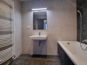 Pronájem bytu 3+kk, Pardubice - Zelené Předměstí, Pod Vinicí, 81 m2