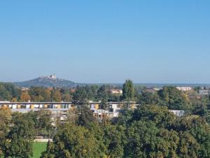 Pronájem bytu 3+kk, Pardubice - Zelené Předměstí, Pod Vinicí, 81 m2