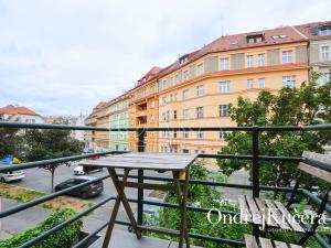 Pronájem bytu 1+kk, Praha - Nusle, Nad Nuslemi, 30 m2