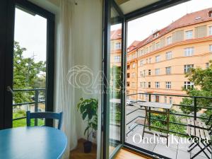 Pronájem bytu 1+kk, Praha - Nusle, Nad Nuslemi, 30 m2