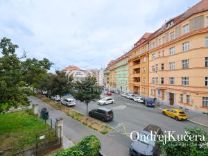 Pronájem bytu 1+kk, Praha - Nusle, Nad Nuslemi, 30 m2