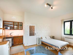 Pronájem bytu 1+kk, Praha - Nusle, Nad Nuslemi, 30 m2