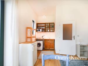 Pronájem bytu 1+kk, Praha - Nusle, Nad Nuslemi, 30 m2