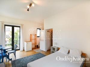 Pronájem bytu 1+kk, Praha - Nusle, Nad Nuslemi, 30 m2
