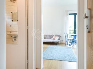 Pronájem bytu 1+kk, Praha - Nusle, Nad Nuslemi, 30 m2