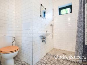 Pronájem bytu 1+kk, Praha - Nusle, Nad Nuslemi, 30 m2