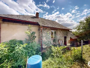 Prodej vícegeneračního domu, Rychnov nad Kněžnou, Pelclovo nábřeží, 194 m2